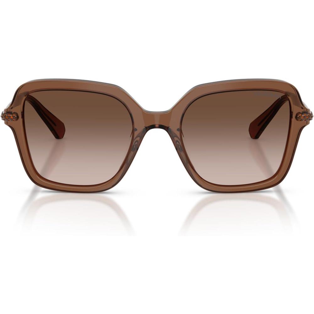 imageSwarovski Womens Sk6040 Square SunglassesTransparent BrownBrown Gradient
