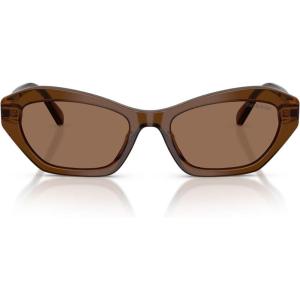 Swarovski Women’s Sk6048 Sunglasses(Transparent Brown/Dark Brown)