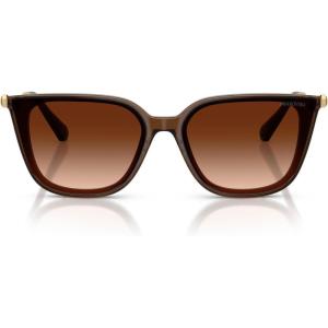 Swarovski Women’s Sk6054d Sunglasses(Transparent Brown/Gradient Brown)