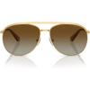 Gold/Polarized Gradient Brown