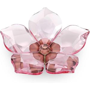 Swarovski Garden Tales Pumpkin Figurine, Orange and Green Crystals and Brushed Champagne Gold Tone-Finish Stem, Part of The Garden Tales Collection(Cherry Blossom – Large)