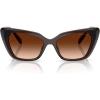 Transparent Brown/Brown Gradient