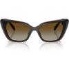 Transparent Brown/Polar Brown Gradient