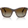Havana/Polarized Brown Gradient